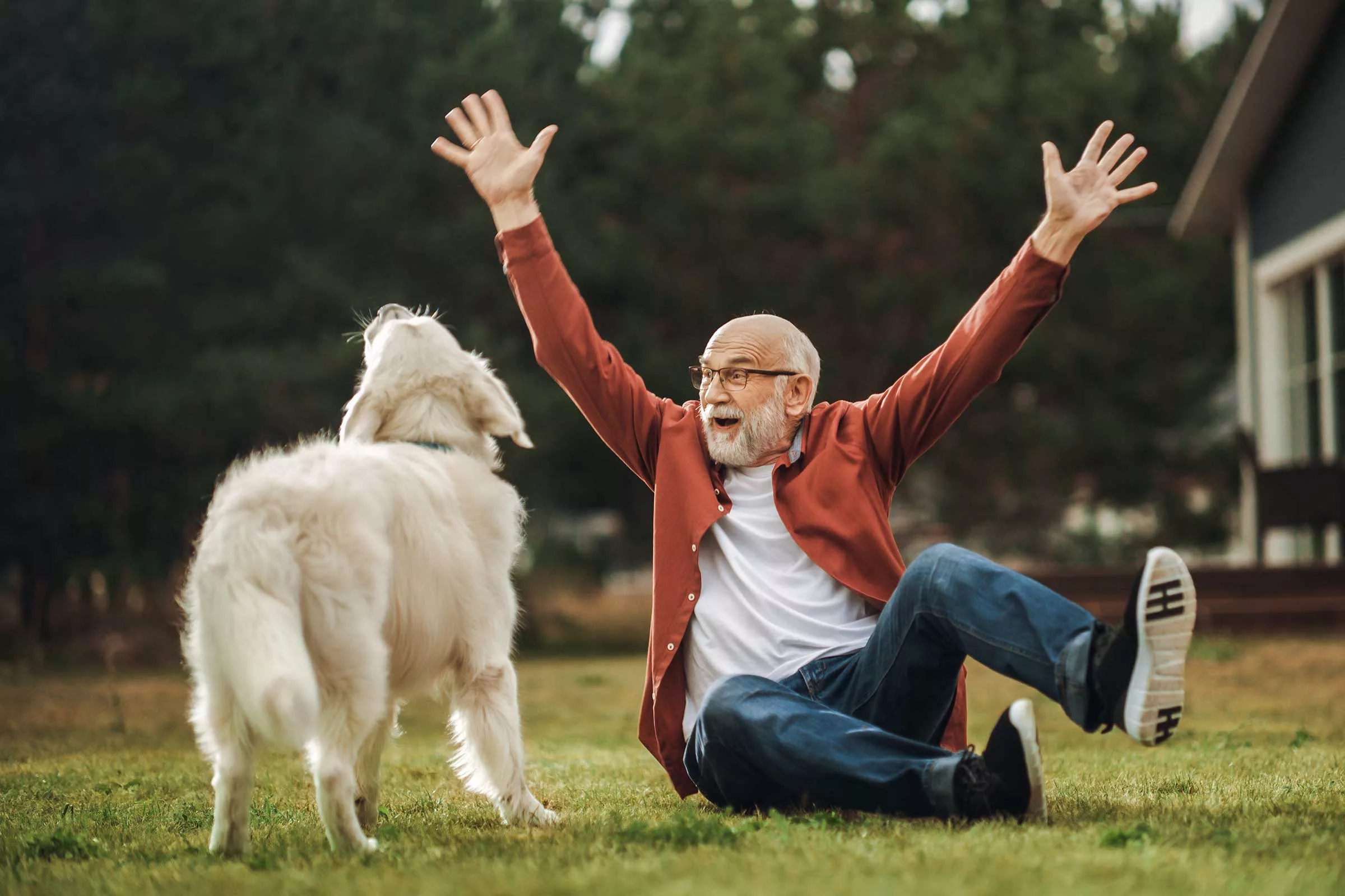 Spaß mit Hunden