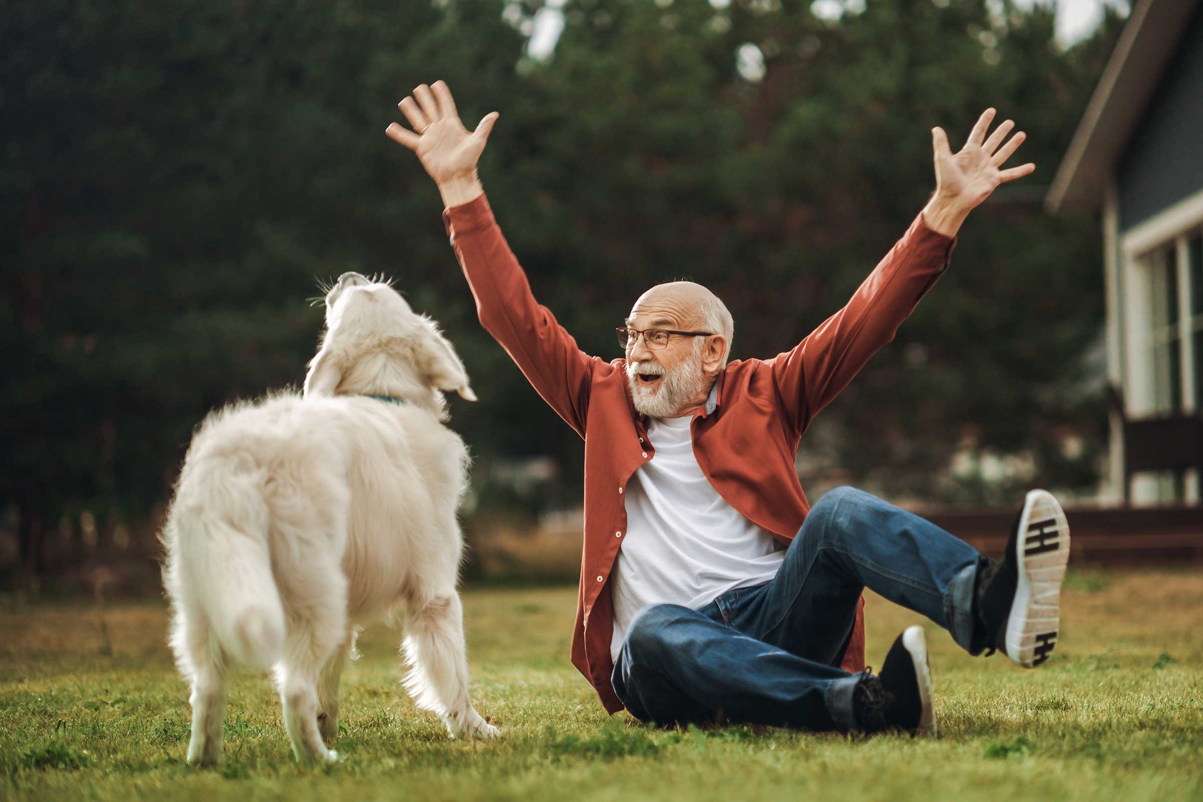 Spaß mit Hunden