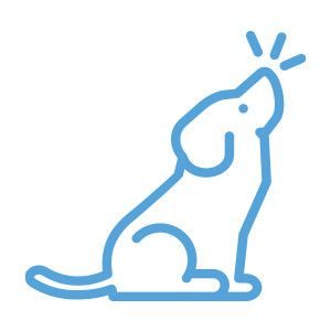 hunde