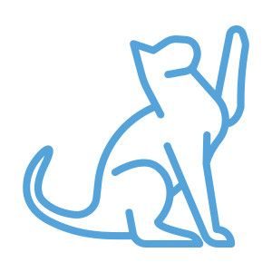 Therapiekatzen