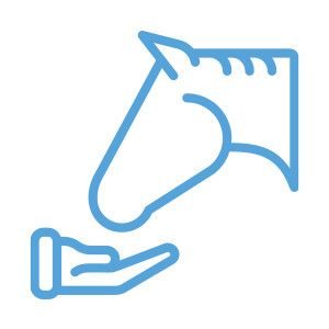 Reittherapie