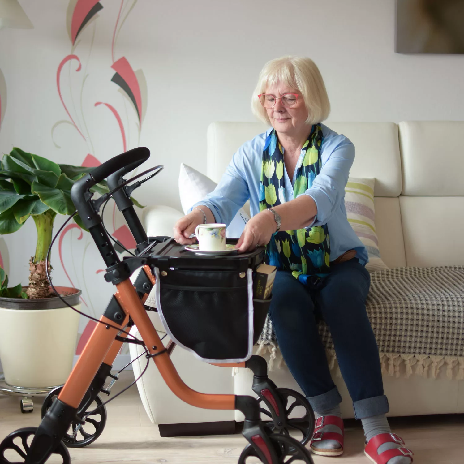 Teckel Wohnraumrollator