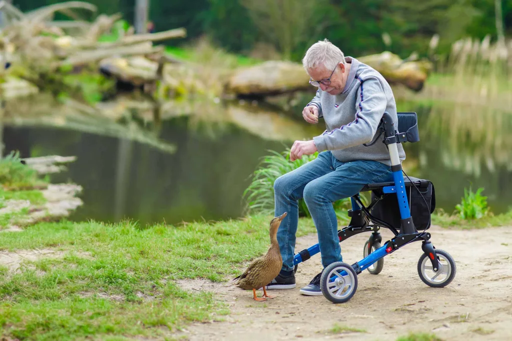 opa auf rollator butterfly premium