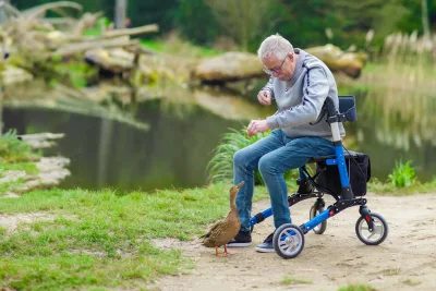 opa auf rollator butterfly premium