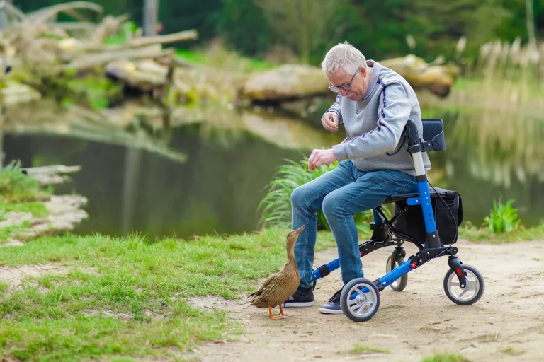 opa auf rollator butterfly premium
