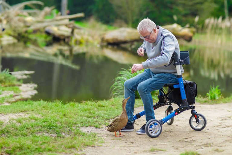 opa auf rollator butterfly premium