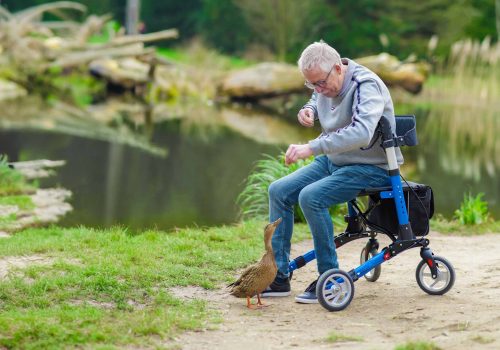 Wie sich Altern auf den Körper auswirkt