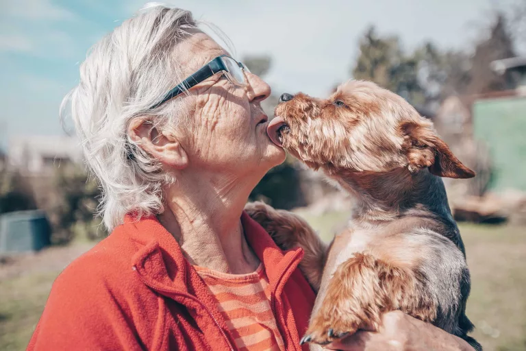 Hunde Therapie