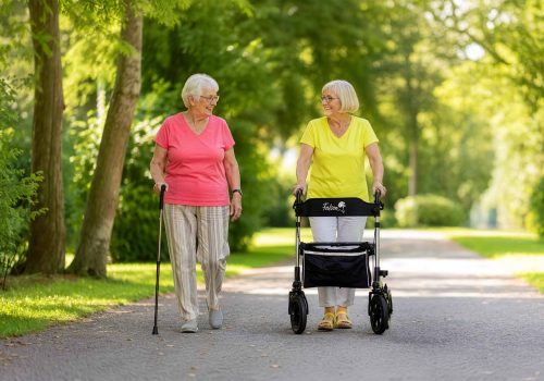Gehstock oder Rollator? So finden Sie die passende Gehhilfe