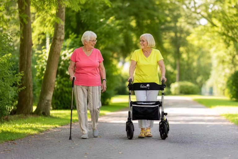 Gehstock, Rollator